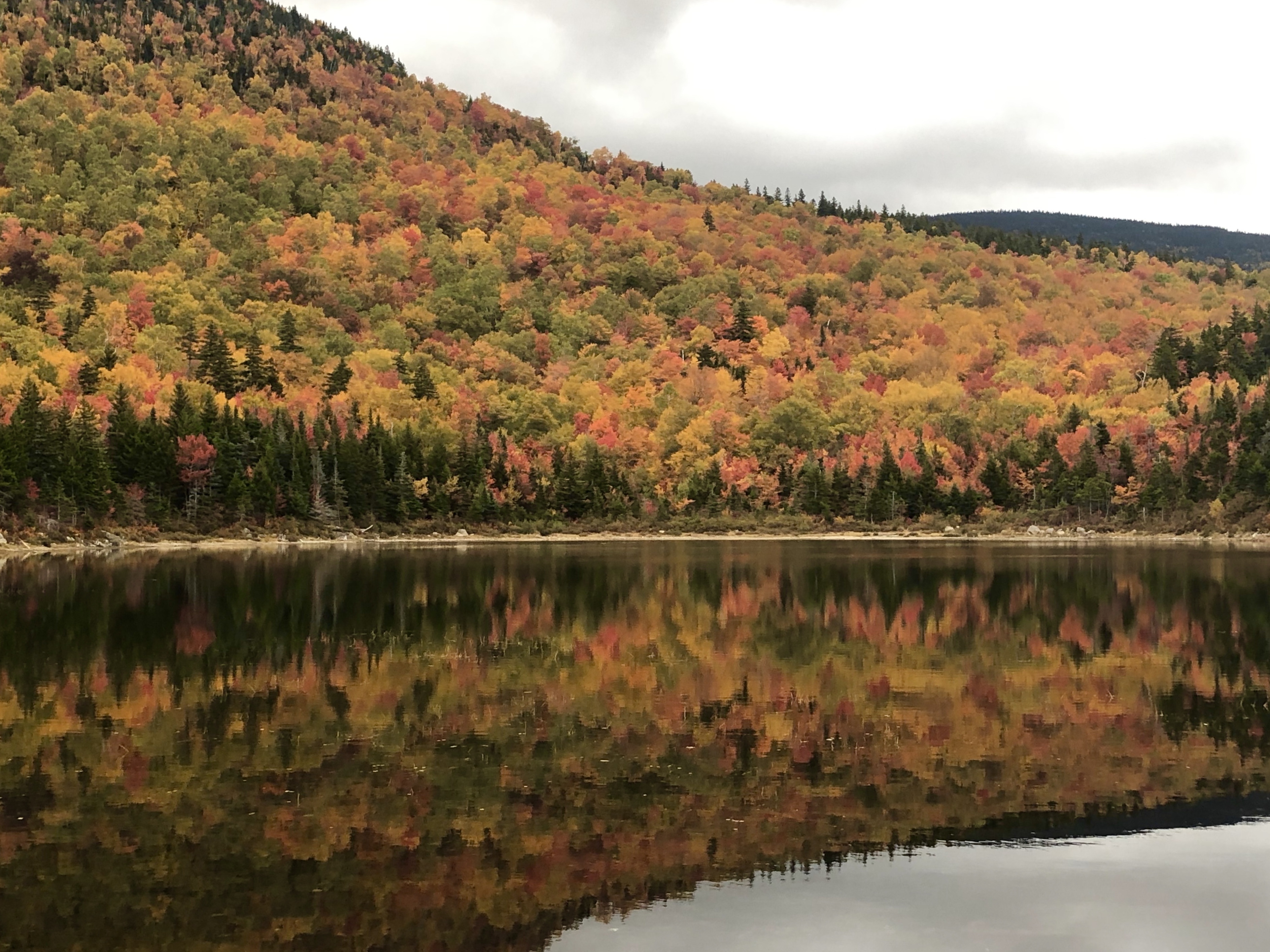 Fall Foliage Fall Foliage