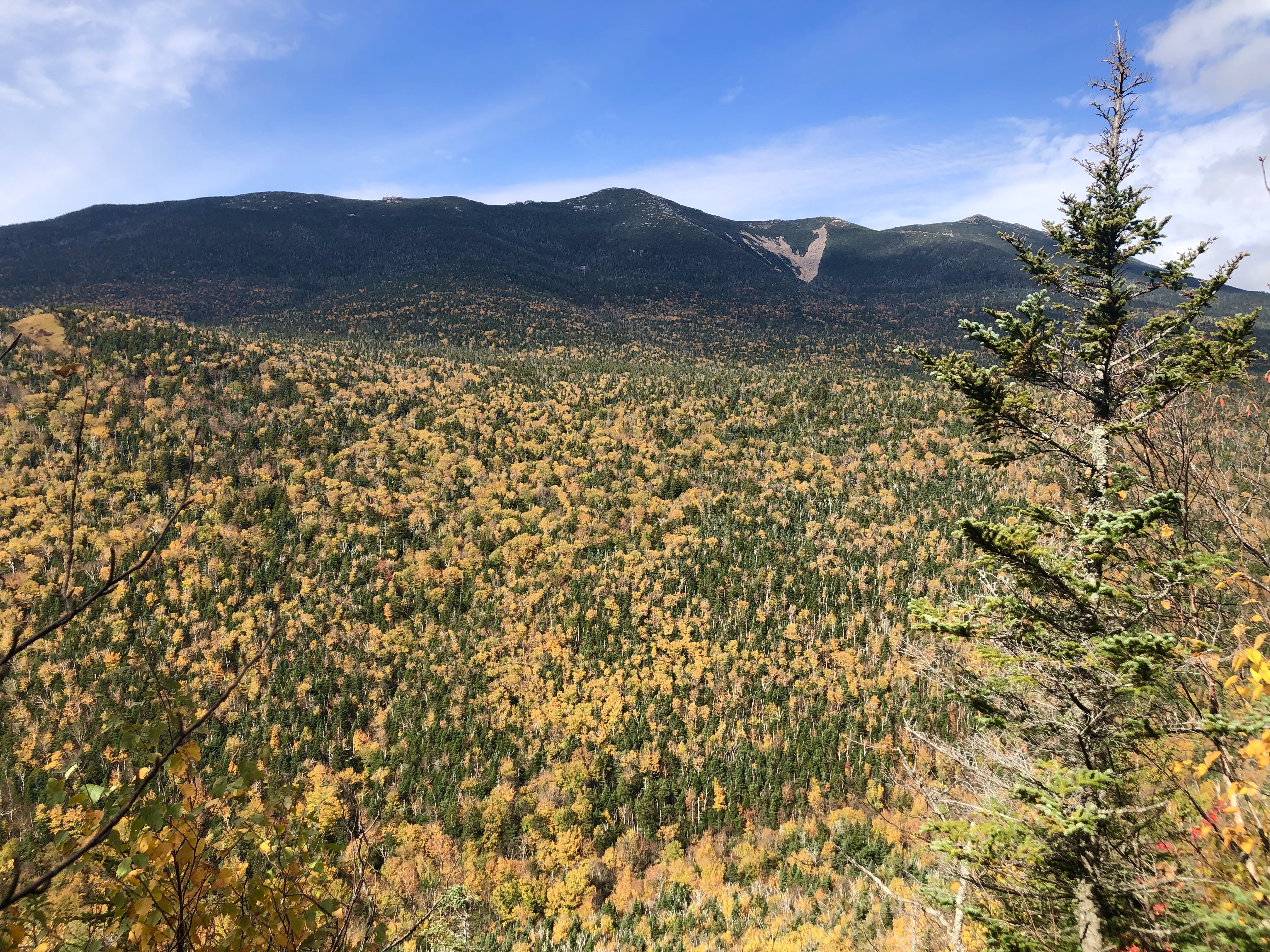 View from Owls Head